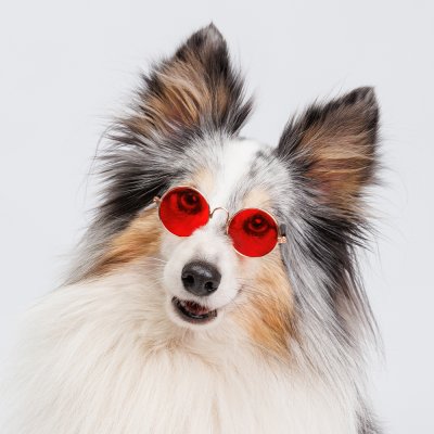 RURRI Очки солнечные для собак и кошек, красные