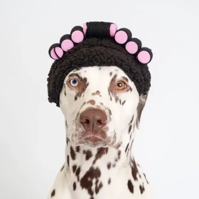 RURRI Повязка бигуди для кошек и собак, S, розовая