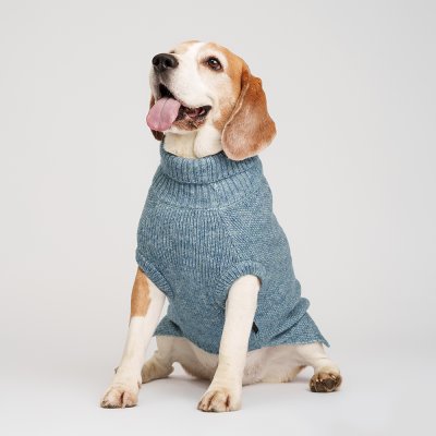 RURRI Свитер для кошек и собак, L, голубой