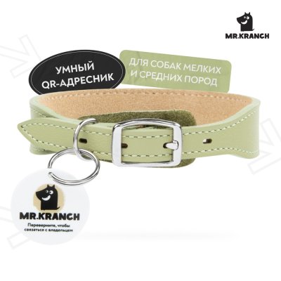 Ошейник для собак Mr.Kranch из натуральной кожи с QR-адресником, нежно-зеленый 30-35см