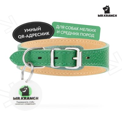 Ошейник-селедка для собак Mr.Kranch из натуральной кожи с QR-адресником, зеленый 19-23см