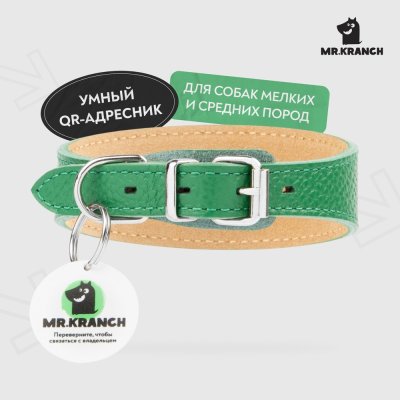 Ошейник-селедка для собак Mr.Kranch из натуральной кожи с QR-адресником, зеленый 24-30см