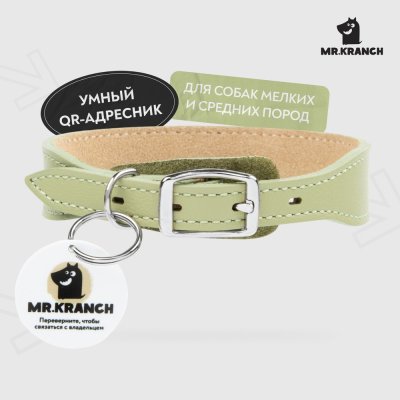 Ошейник для собак Mr.Kranch из натуральной кожи с QR-адресником, нежно-зеленый 38-45см