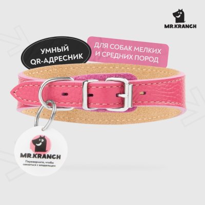 Ошейник-селедка для собак Mr.Kranch из натуральной кожи с QR-адресником, розовый 21-25см