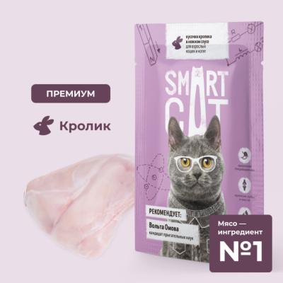 Консервы, паучи Smart Cat паучи Паучи для взрослых кошек и котят кусочки кролика в нежном соусе. Влажный корм (85 г)