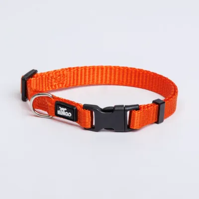Rungo Ошейник для собак, обхват шеи 22-35 см, ширина 1 см, оранжевый