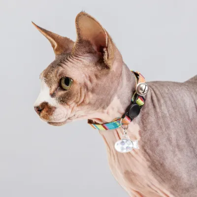 Petmax Ошейник нейлоновый со светоотражающим адресником для кошек и собак мелких пород, 1х30 см, радужный