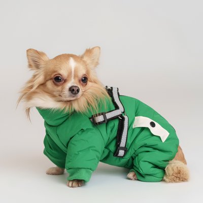 Petmax Комбинезон со шлейкой для собак, S, зеленый (девочка)