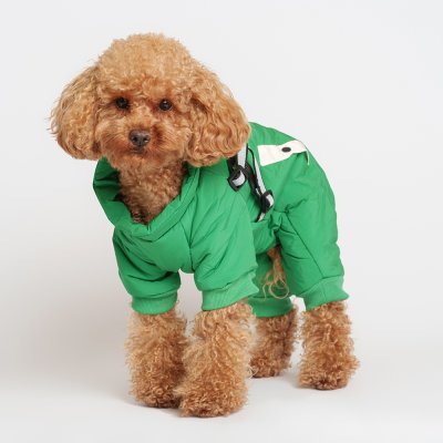 Petmax Комбинезон со шлейкой для собак, L (девочка)