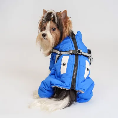 Petmax Комбинезон со шлейкой для собак, M, синий