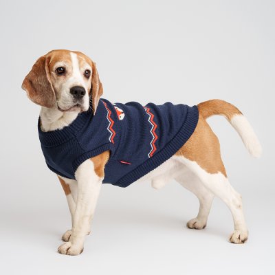 Petmax Свитер с лисами для кошек и собак, XL, синий