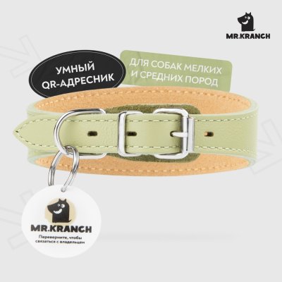 Ошейник-селедка для собак Mr.Kranch из натуральной кожи с QR-адресником, нежно-зеленый 29-35см