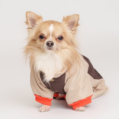 Petmax Комбинезон с медведем для собак, M