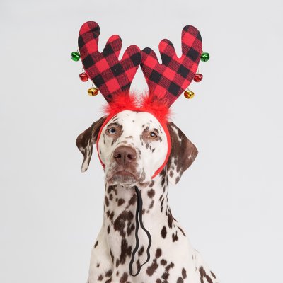 Petmax Ободок безразмерный для собак Рога оленьи, коричневый