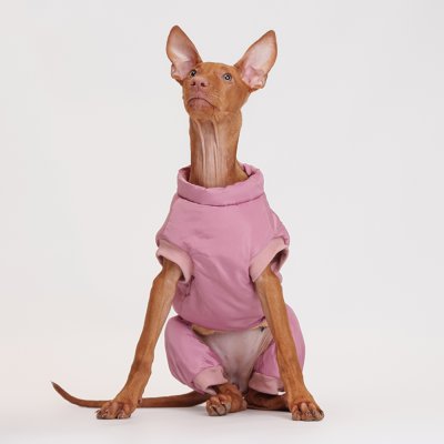 Petmax Комбинезон на замке для собак, L, розовый (девочка)