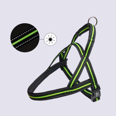 Rungo Шлейка для собак со светоотражающей полоской Norway, обхват груди 68-88 см, ширина ремешка 3,5 см, черно-зеленый