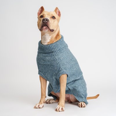 RURRI Свитер для собак, 3XL, голубой