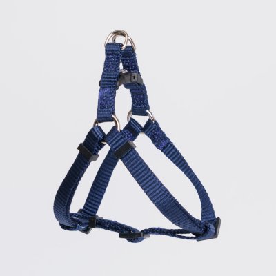 Rungo Шлейка нейлоновая для кошек и собак Step-in, объем груди 28-38 см, ширина ремешка 1 см, синий