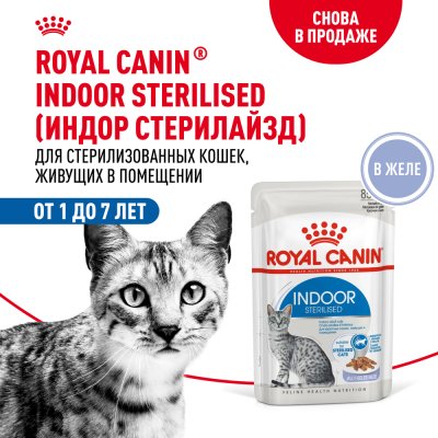Корм для кошек ROYAL CANIN Indoor Sterilized для кастрир. живущих в помещ., кусочки в желе пауч 85г