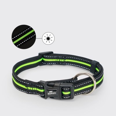 Rungo Ошейник светоотражающий для собак Urban Daily, M-L, обхват шеи 35-55 см, ширина 2 см, черно-зеленый