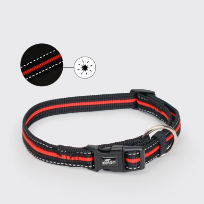 Rungo Ошейник светоотражающий для собак Urban Daily, L-XL, обхват шеи 40-65 см, ширина 2,5 см, черно-оранжевый