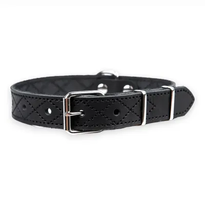 Аркон Ошейник для собак Новара, ширина 2,5 см, длина 58 см, черный