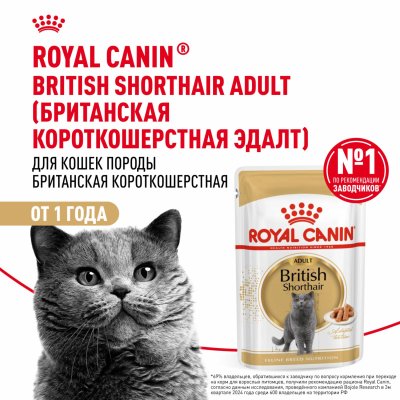 Консервы, паучи Royal Canin паучи Для взрослых британских короткошерстных кошек, кусочки в соусе, British Shorthair Adult (1 шт)