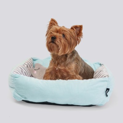 RURRI Лежак с игрушкой для кошек и собак мелких пород Звёздочка, 55х47х16 см, голубой