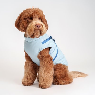 RURRI Куртка со шлейкой для собак, 3XL, голубая