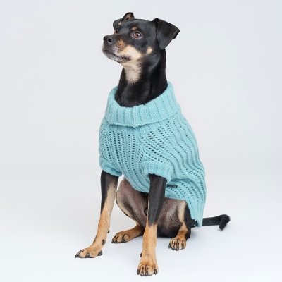 RURRI Свитер для кошек и собак, XL, голубой