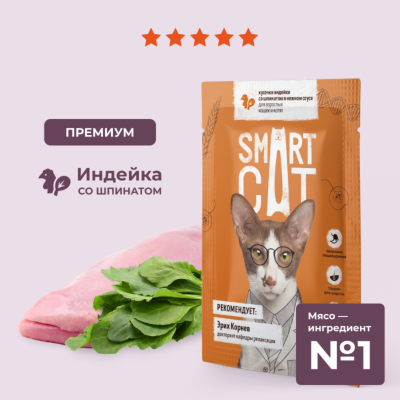 Консервы, паучи Smart Cat паучи Паучи для взрослых кошек и котят кусочки индейки со шпинатом в нежном соусе. Влажный корм (85 г)