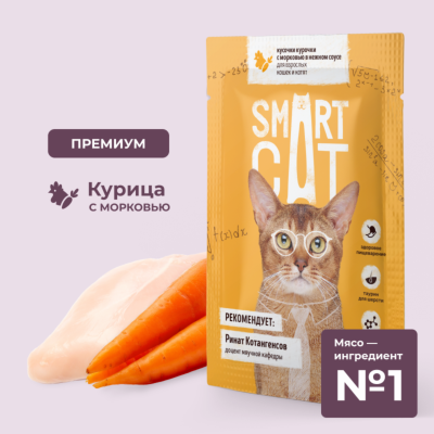 Консервы, паучи Smart Cat паучи Паучи для взрослых кошек и котят кусочки курочки с морковью в нежном соусе. Влажный корм (85 г)