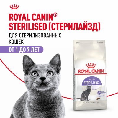 Сухие корма Royal Canin Корм сухой сбалансированный для взрослых стерилизованных кошек,  Sterilised 37 (1.2 кг)