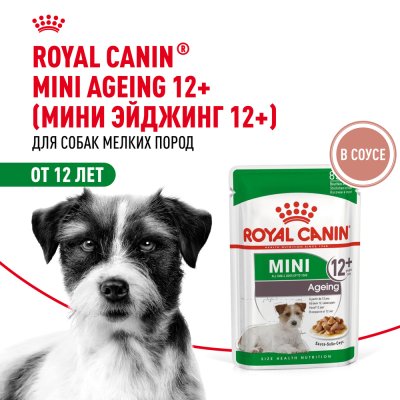 Корм для собак ROYAL CANIN Mini Ageing 12+ для стареющих, мелких пород пауч 85г