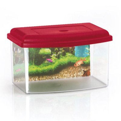 Georplast Аквариум пластиковый, 5,5 л, красный