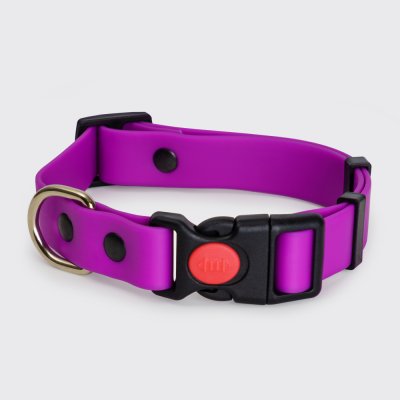 Rungo Ошейник из биотана для собак, обхват шеи 30-42 см, ширина 2 см, фиолетовый