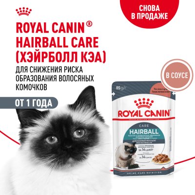 Корм для кошек ROYAL CANIN Hairball Care для профил.образования волосяных комочков, соус пауч 85г