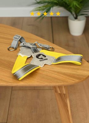 Ошейники, шлейки PETSHOP Шлейка для собак "Чарли", размер S (S)