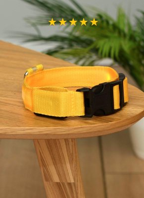 Ошейники, шлейки PETSHOP Светящийся ошейник для собак (XL)