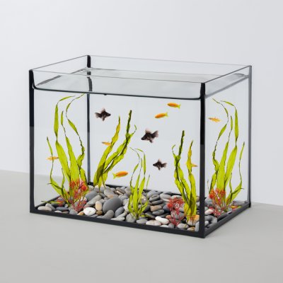 WATERA Аквариум (27,5х17х21,5 см) прямоугольный, 10 л