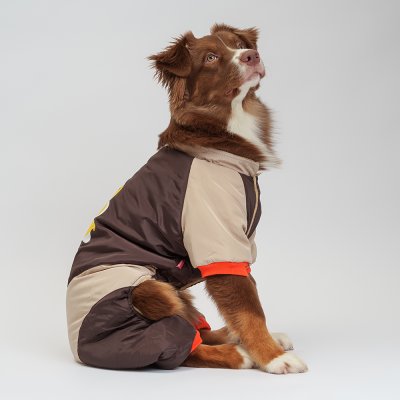 Petmax Комбинезон с медведем для собак, 3XL