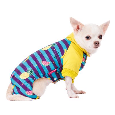 Petmax Комбинезон в полоску с фруктами для собак, S, голубой (унисекс)