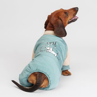 Petmax Комбинезон для собак, XL, голубой (девочка)