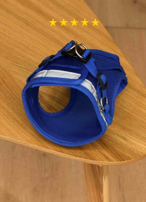 Ошейники, шлейки PETSHOP Шлейка для собак с поводком (S)