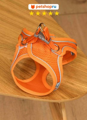 Ошейники, шлейки PETSHOP Шлейка для собак, M (M)