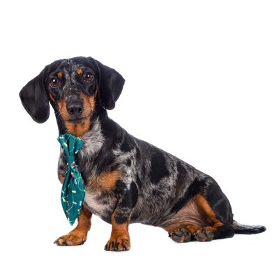 RURRI Галстук для собак светящийся Led, зеленый