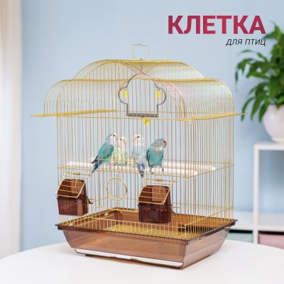 Petmax Клетка для птиц, 43,5х26,5х48,5 см, золотая