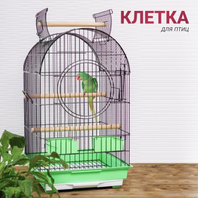 Petmax Клетка для птиц, 46,5х47,5х77,5 см, черно-зеленая
