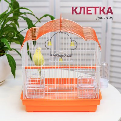 Petmax Клетка для птиц, 33,5х24х36 см, бело-оранжевая