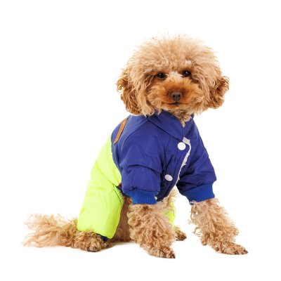 Petmax Комбинезон для собак, M, зеленый (унисекс)